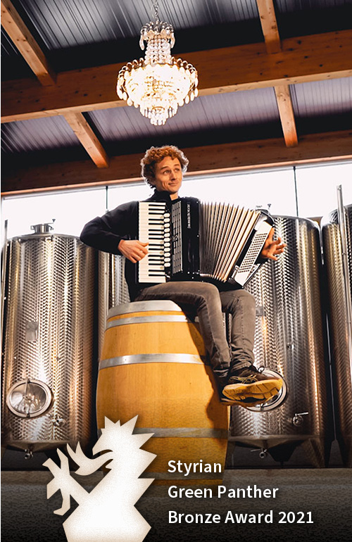 Video Service Palais Media